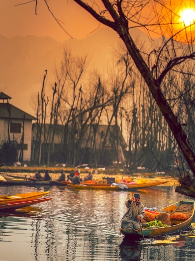 Enjoy the harsh winter at these places in Kashmir