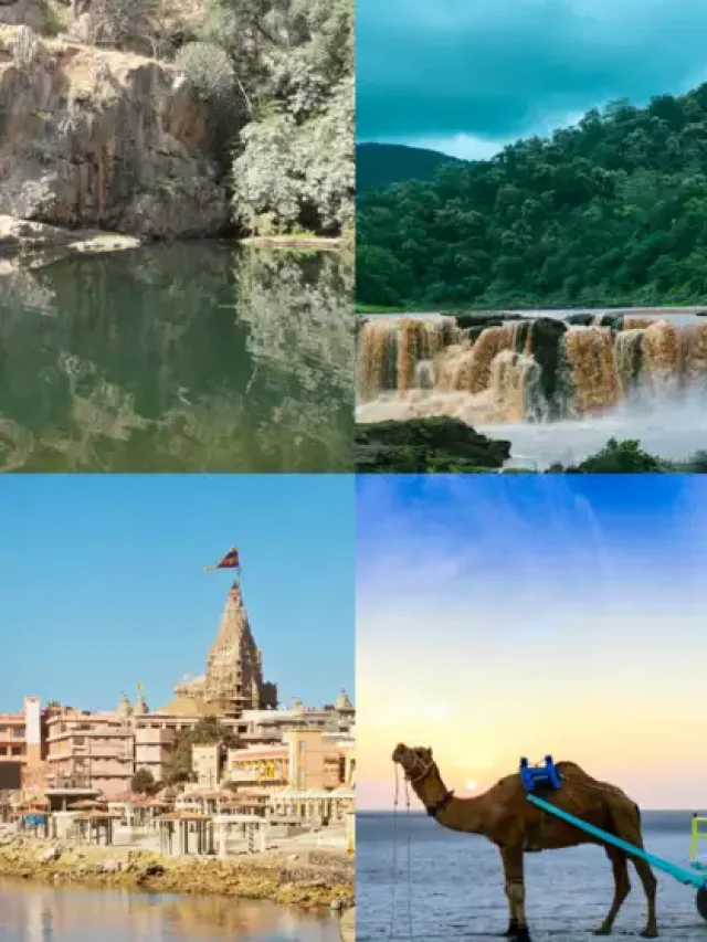 Monsoon Magic: Top Destinations in Gujarat