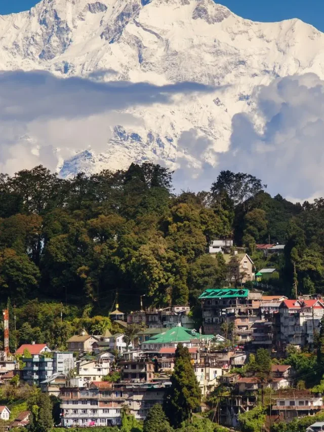 Darjeeling-1